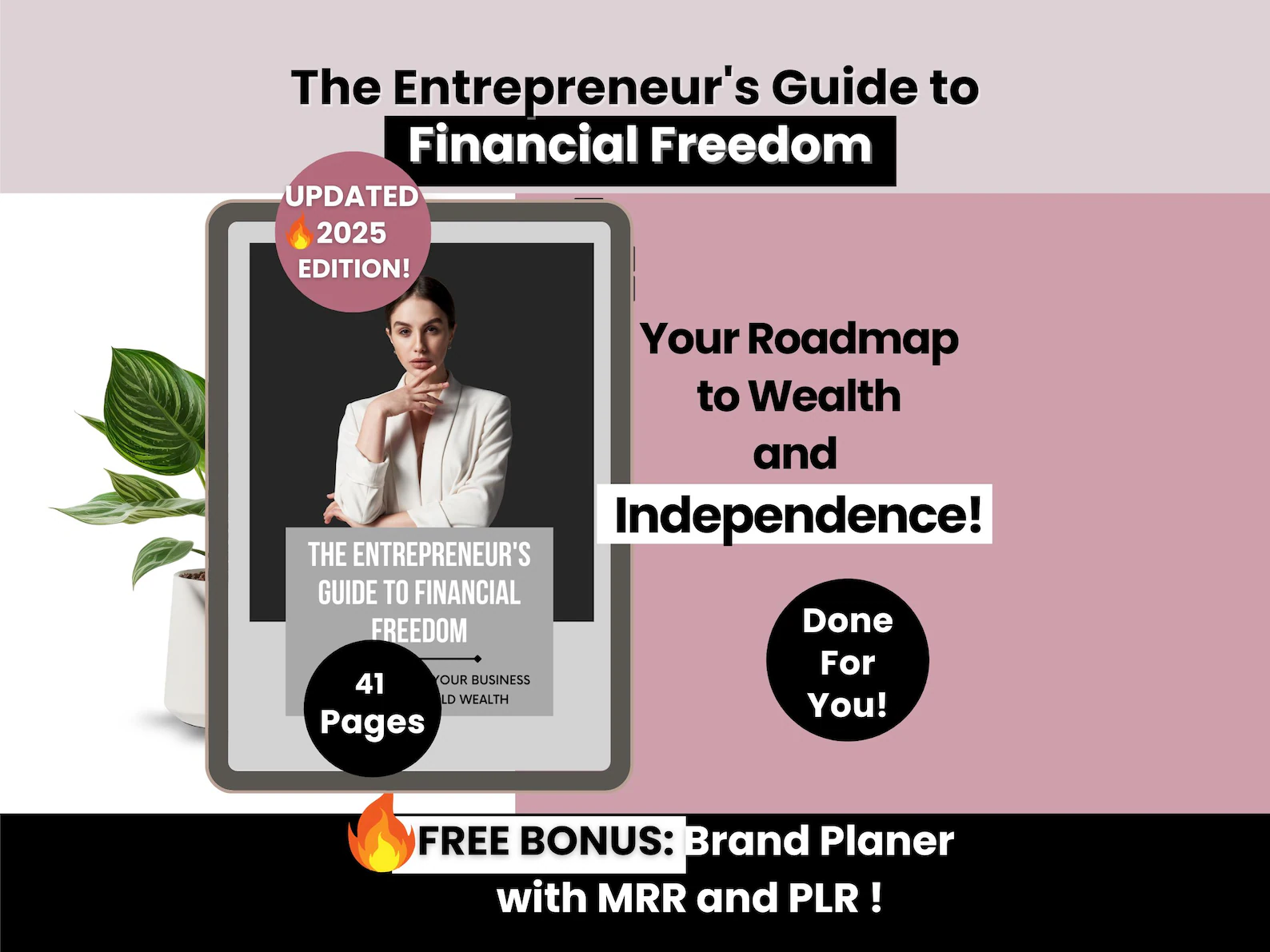 The Entrepreneur's Guide to Financial Freedom, 41-Page Wealth Building Roadmap, PLR & MRR 2025 Edition, Editable Canva Business Template