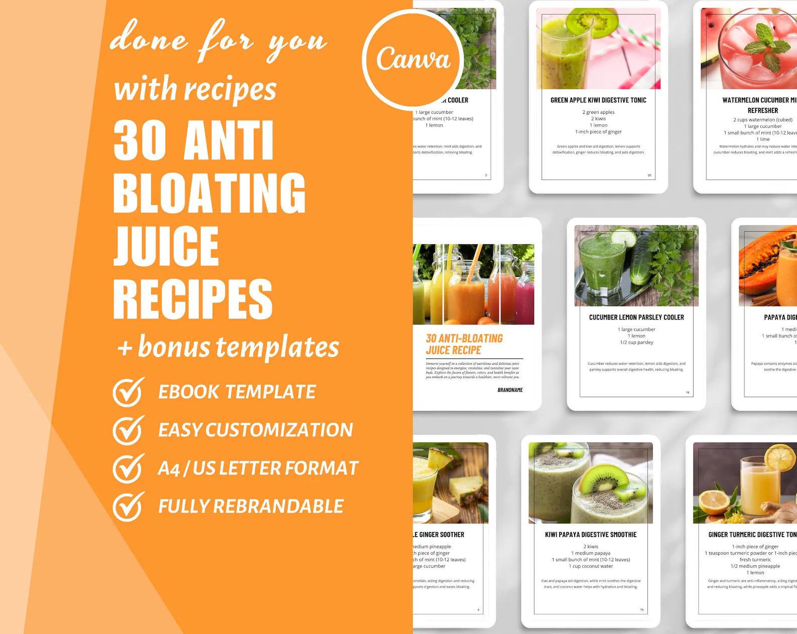 Anti-Bloating Juice Recipes eBook – Natural Detox Drinks Guide