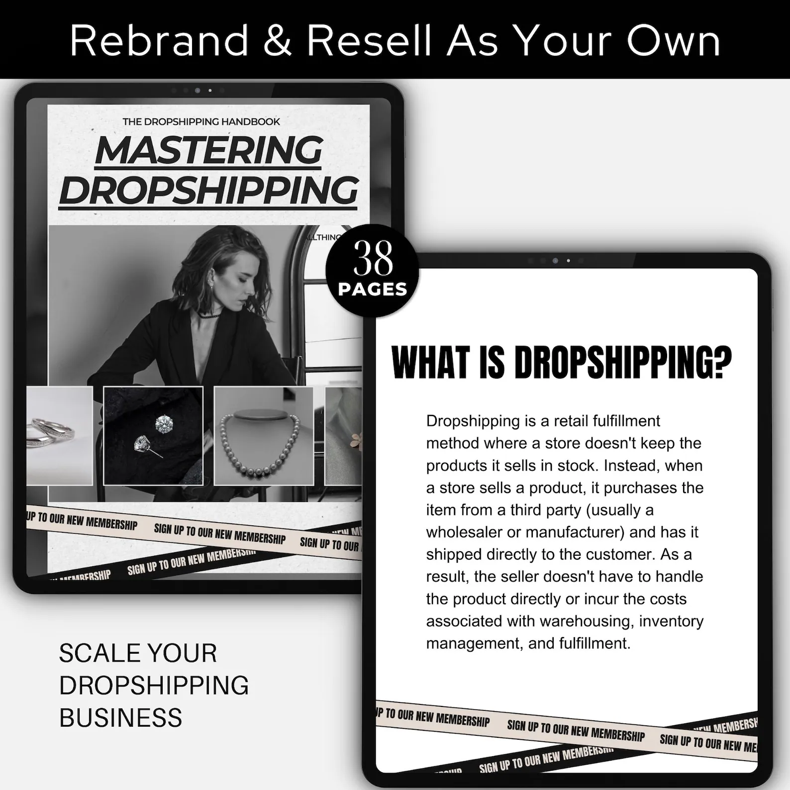 Mastering Dropshipping: The Ultimate E-book Handbook, 38-Page Digital Guide, PLR & MRR E-commerce Template, Editable Canva Business Lead Magnet - Image 2