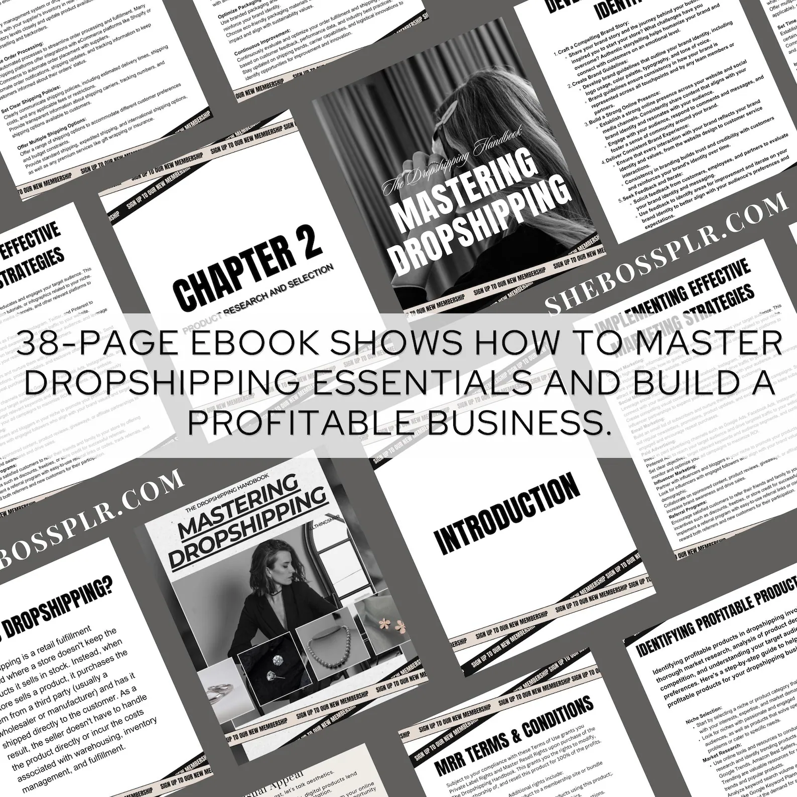 Mastering Dropshipping: The Ultimate E-book Handbook, 38-Page Digital Guide, PLR & MRR E-commerce Template, Editable Canva Business Lead Magnet - Image 3