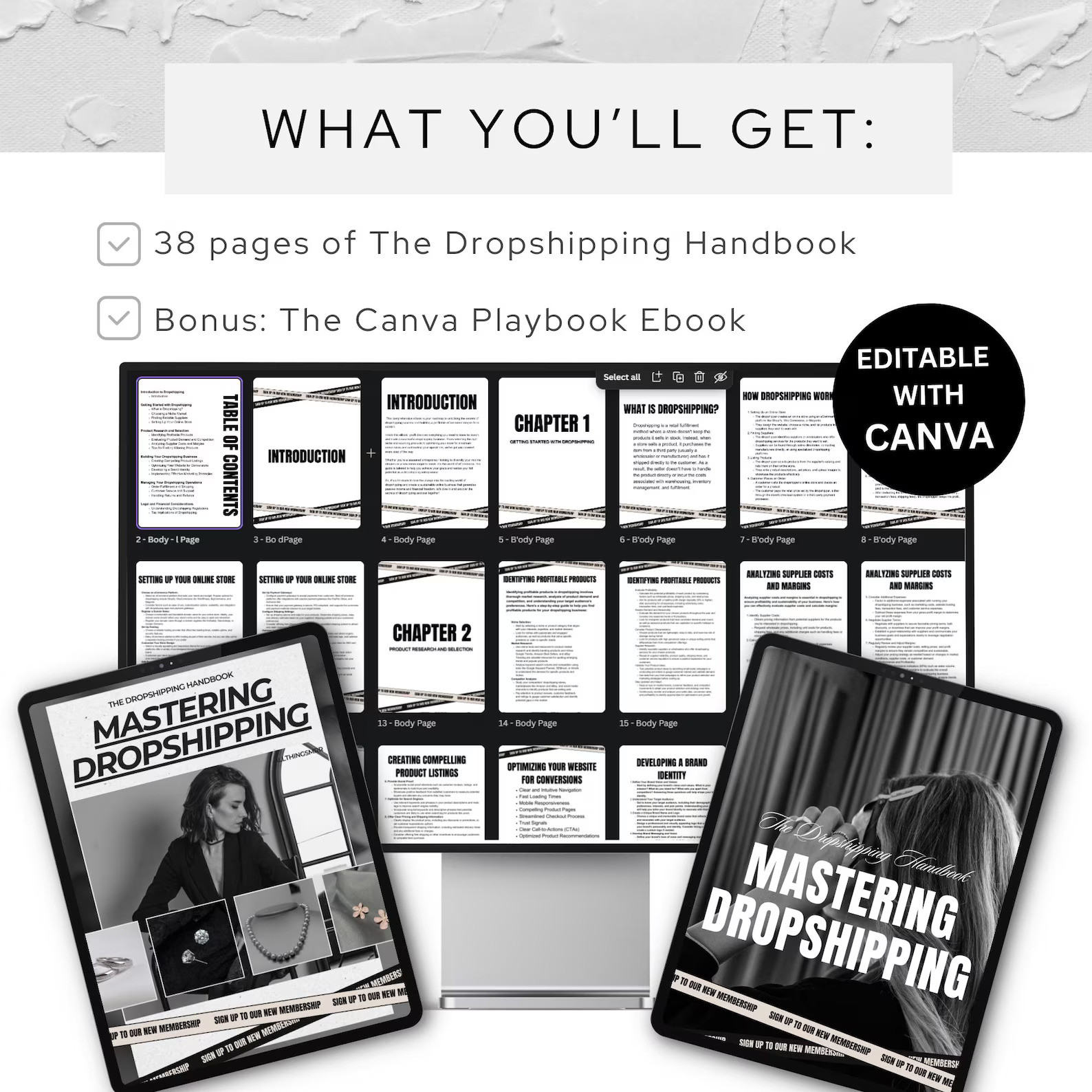 Mastering Dropshipping: The Ultimate E-book Handbook, 38-Page Digital Guide, PLR & MRR E-commerce Template, Editable Canva Business Lead Magnet - Image 4