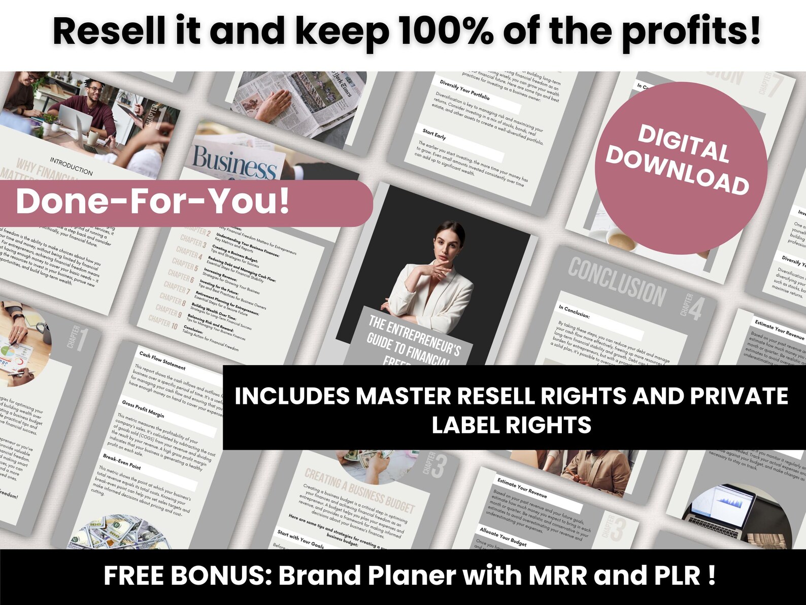 The Entrepreneur's Guide to Financial Freedom, 41-Page Wealth Building Roadmap, PLR & MRR 2025 Edition, Editable Canva Business Template - Image 3
