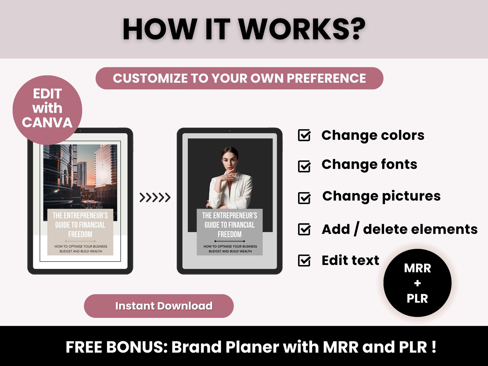 The Entrepreneur's Guide to Financial Freedom, 41-Page Wealth Building Roadmap, PLR & MRR 2025 Edition, Editable Canva Business Template - Image 4