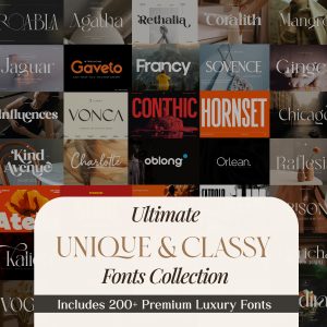 Unique & Classy Fonts Collection – Premium Typography Pack