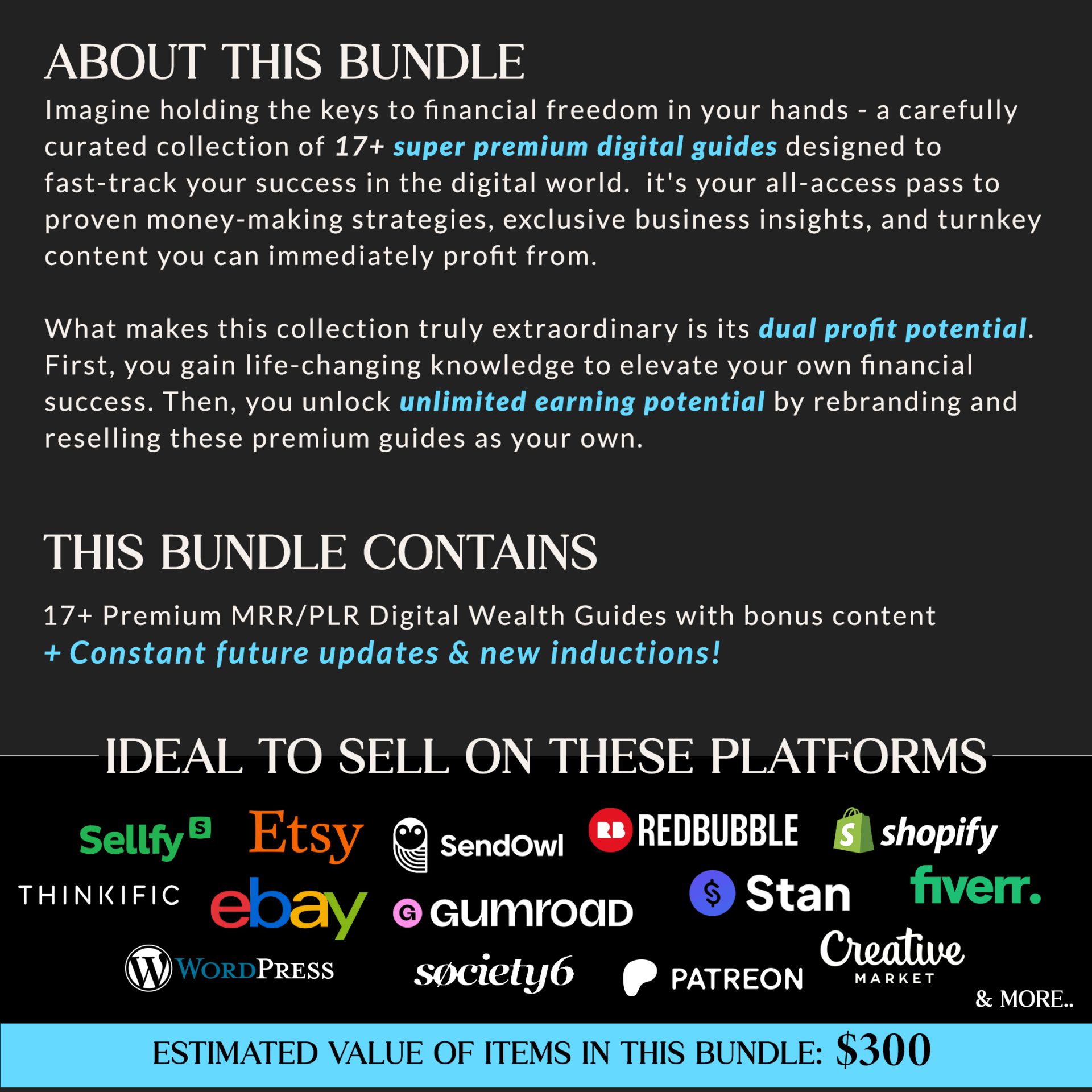 17+ Premium PLR Digital Guides & E-Books Bundle | Ready-to-Sell Business Resources - Image 2